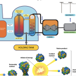 Nuclear Energy Production