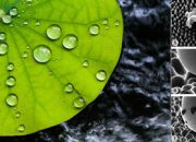 “Keajaiban Nanoteknologi dari Alam”,  Inspirasi Inovasi Material Masa Depan untuk Teknik Mesin