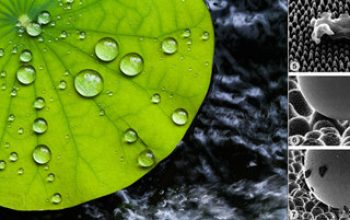 “Keajaiban Nanoteknologi dari Alam”,  Inspirasi Inovasi Material Masa Depan untuk Teknik Mesin